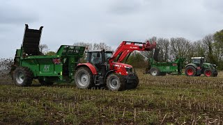 Muck Spreading with THREE Spreaders, Fendts & Massey Ferguson and Loading with Manitou