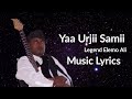 Elemo ali yaa urjii samii new ethiopian oromo music lyrics