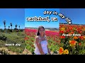 life in california VLOG I visiting carlsbad, the beach &amp; flower fields