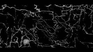 Mycelium