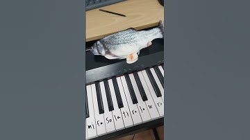 lin gan guliguli #piano