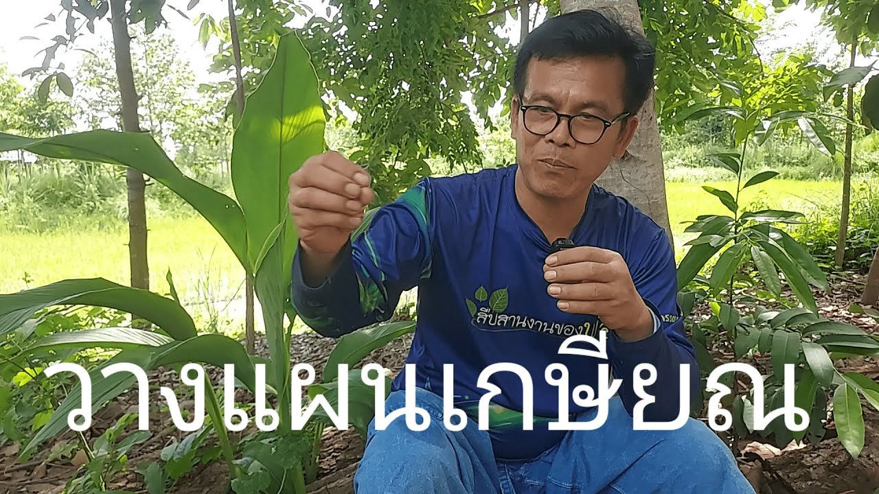 วางแผนเกษียณ