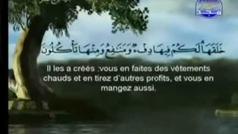القرآن الكريم - الجزء الرابع عشر (الـر)- الحجر. - الشريم و السديس