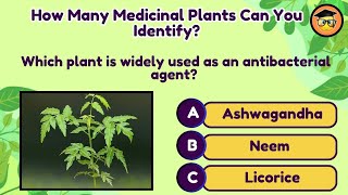 Medicinal Plants Quiz-Test Your Knowledge|Can You Score 30/30?Medicinal Plants Edition: Challenge 04 screenshot 3