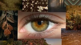 Ala Gözlüm / Turkish Song / Slowed /Azerbaycan