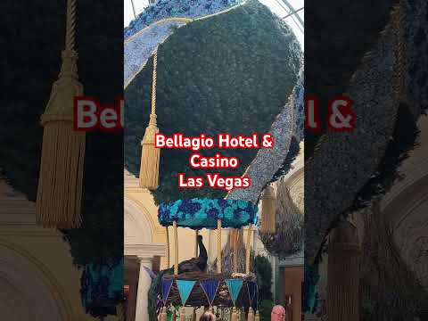 juegos gratis con la maxima apuesta#slots #juegos gratis