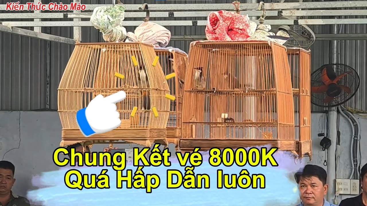 Full Chung kết quá hay ĐT vé 8 triệu 30 xe ngày 08-12 tại CLB Chào Mào Vịt nổi tiếng