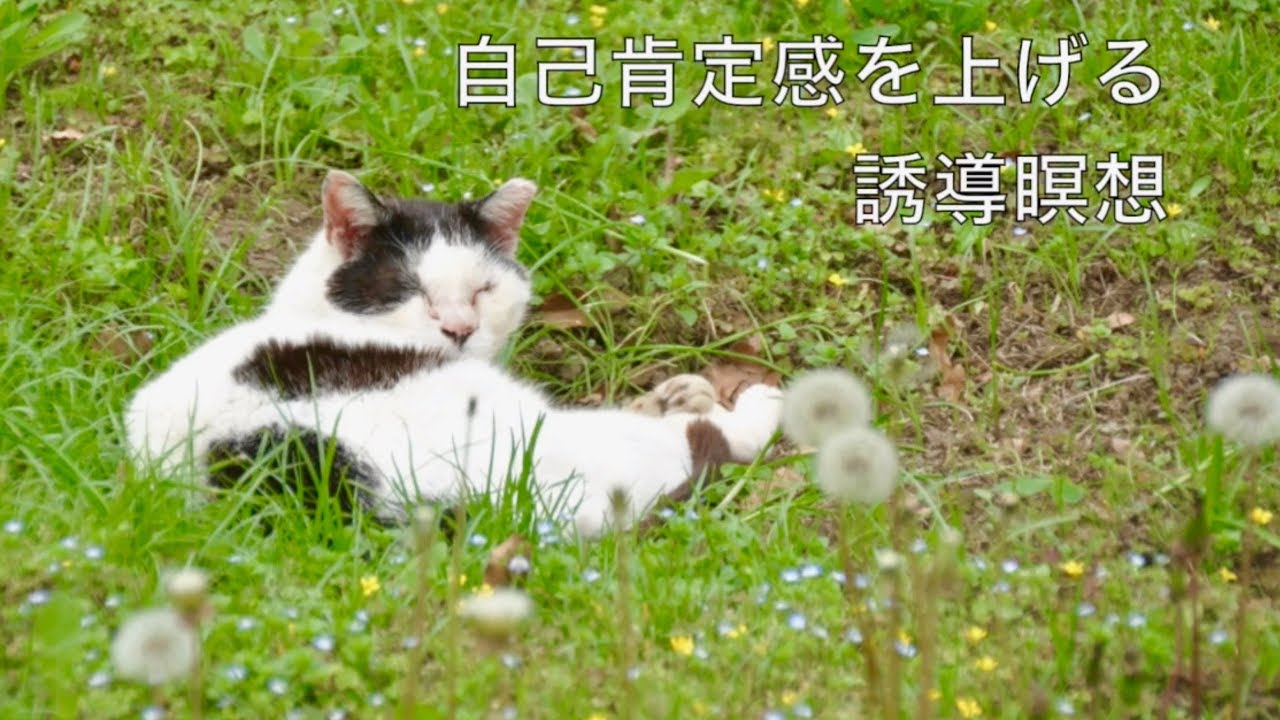音声】自己肯定感を上げる誘導瞑想 Guided meditation to raise self