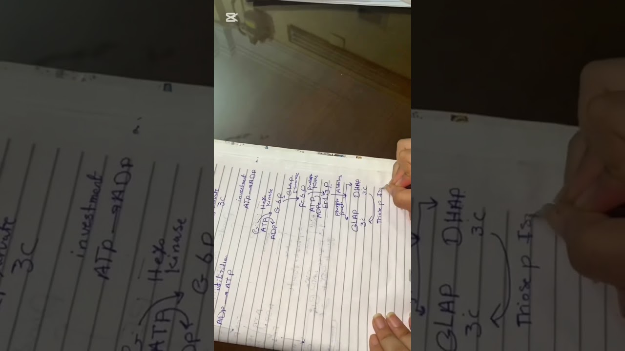 شرح الGlycolysis  بالعربي  