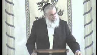 הרה''ג אשר וייס - גיטין עד אחד נאמן באיסורין