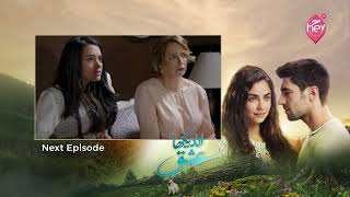 Undekha Ishq Episode 14 Next Episode Teaser | Why Is Alberto Getting Married So Soon? | HEY TV