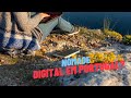 Quer ser nômade digital em Portugal?