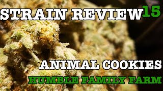 ANIMAL COOKIES STRAIN REVIEW 15 [ GROWERS ONLY CO ]