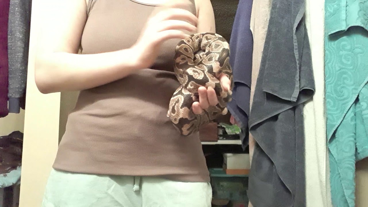 "My snake's belly is pink!" - Why You Shouldn't Panic