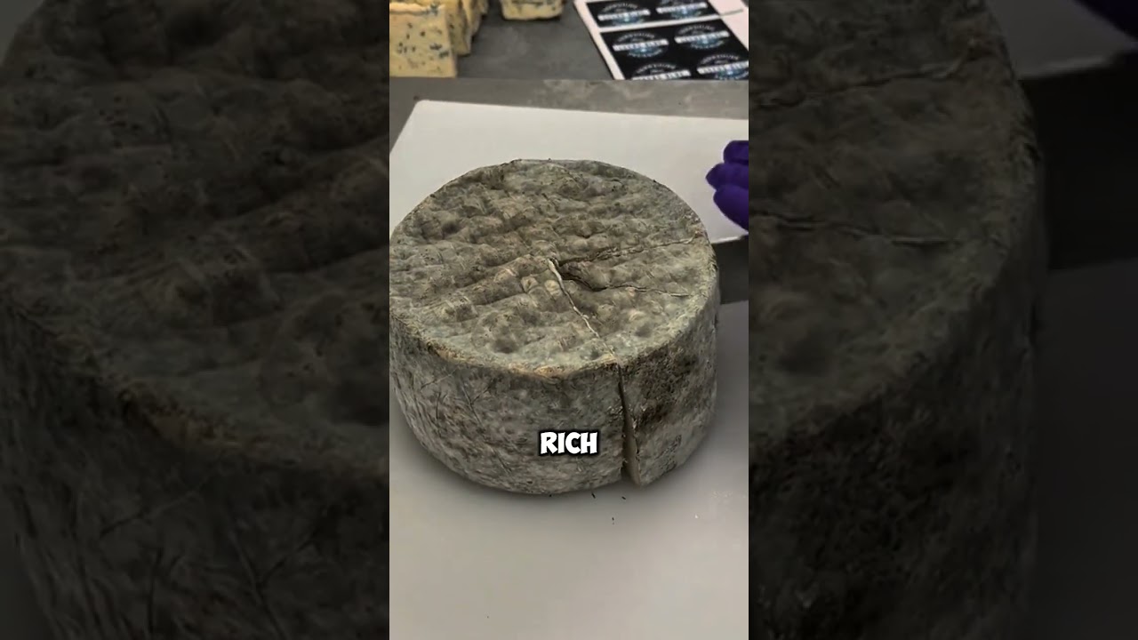 599243198825484 - YouTube Auto PHP Script