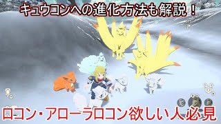 レジェンズアルセウス ロコン アローラロコン入手方法 依頼発生条件 進化方法解説 捕獲方法 ゲット方法 出現場所 捕まえ方 ポケモン レジェンズアルセウス 攻略 実況 ポケモンアルセウス Youtube レジェンズアルセウス ロコン アローラロコン入手方法 依頼発生条件 進化方法解説 捕獲方法 ゲット方法 出現場所 捕まえ方 ポケモン レジェンズアルセウス 攻略 実況 ポケモンアルセウス Youtube