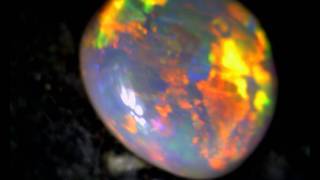 0061 - 20091203_002248.avi