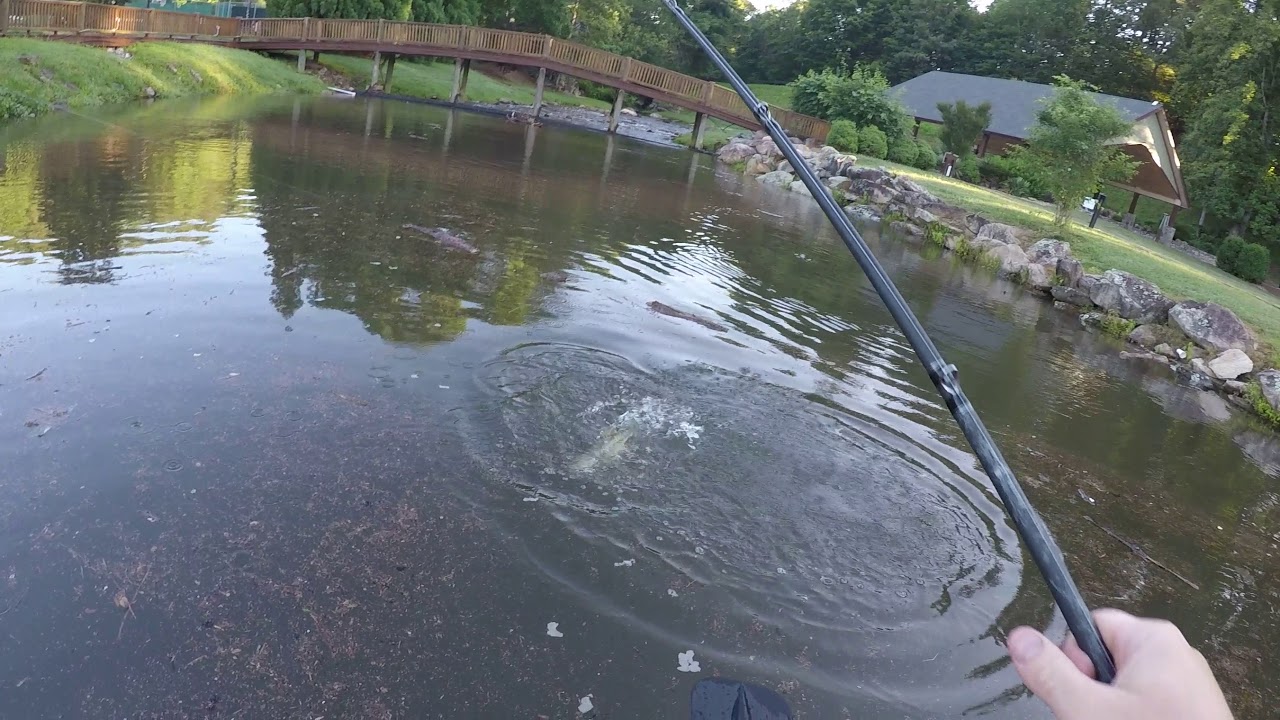 Bass fishing Lake Lure YouTube