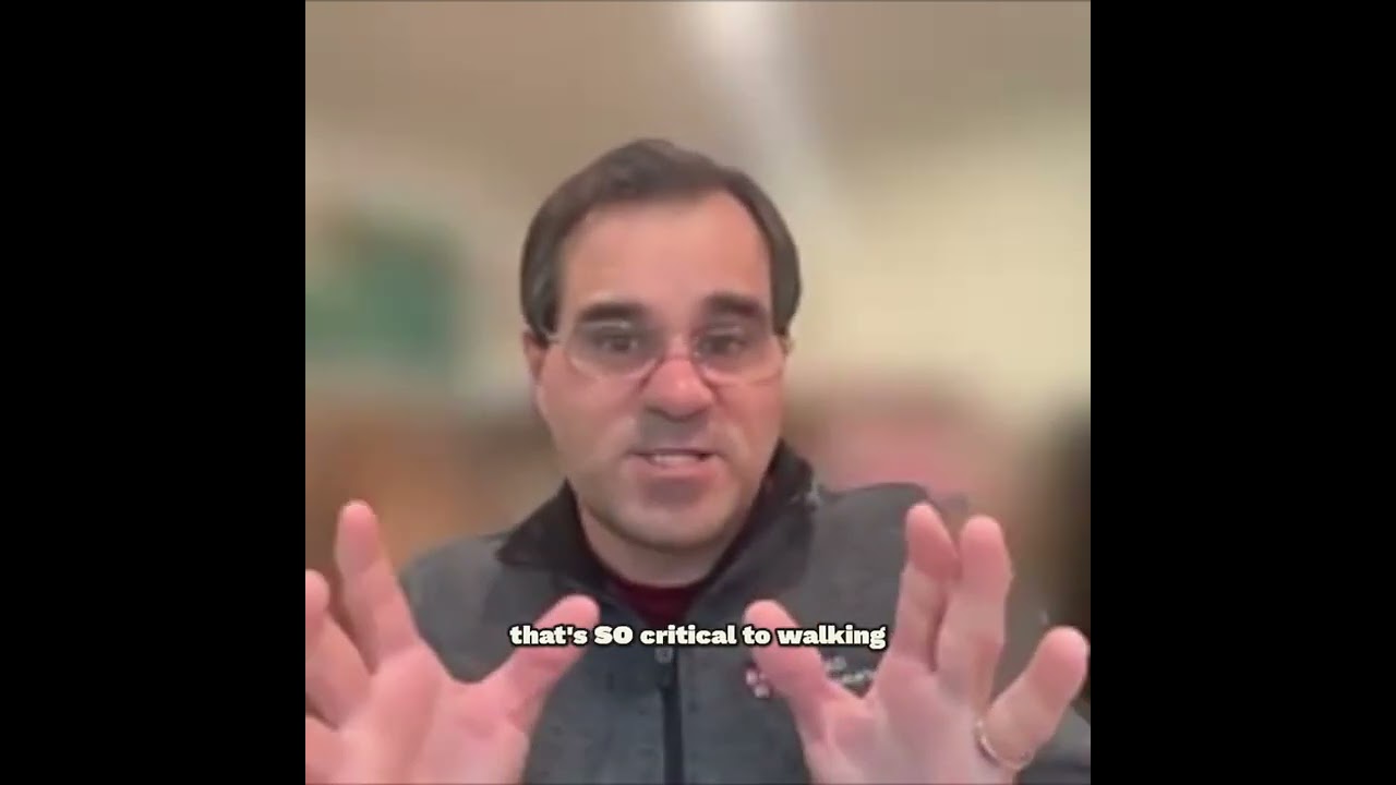 Human Pelvis Evolution: Anatomy vs. Chimps & Archaic Species