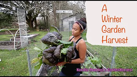 Natalia Montoya's Garden Harvest 2020