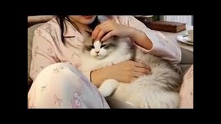 🔴LIVE || GAWAT‼️GHONI TERGODA JANDA BERANAK TIGA