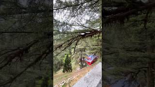 Sukoon 📍Mussorie | Landour ⛰️ #feed #explorepage #coupletravel #vlog #mussoorieweather
