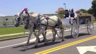 Dallas & Davis Funeral Services - Ms. Lisa Ann Bright - Homegoing Celebration -May 11, 2013