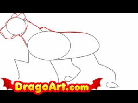 How to draw a cartoon leopard, step by step - YouTube