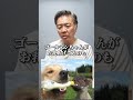 この子はなぜこんなことができるの?すごいワンちゃん達#shorts