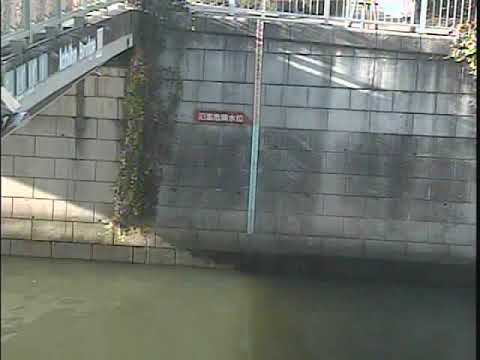 目黒川 荏原池上 ライブカメラ 21 02 24 定点観測 Meguro River Live Camera Youtube