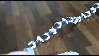 ัะพะฑะพั Bioloid Worm.wmv
