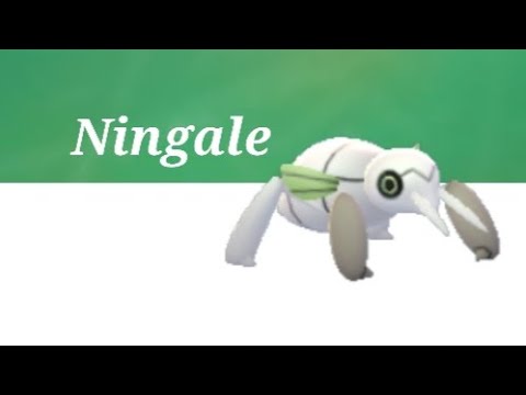 Ningale De Hoenn Evolution Ninjask Pokemon Go Ninjask Ningale Pokemonhoenn Youtube
