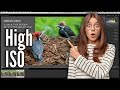 How I Deal With High ISO in Post Production