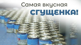 видео: Сгущёнка в БОЧКАХ из дерева! // Жесть, вкусная работа и большая любовь на комбинате: Рогачёвский МКК картинка: Сгущёнка в БОЧКАХ из дерева! // Жесть, вкусная работа и большая любовь на комбинате: Рогачёвский МКК