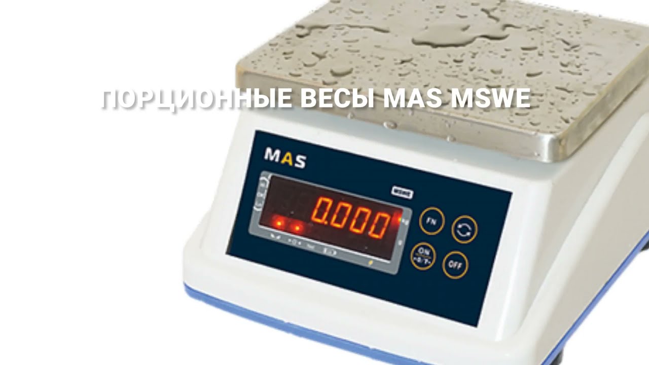 Весы msc 10. Весы msc 10