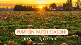 Celebrity Pumpkin Patch! Net Worth