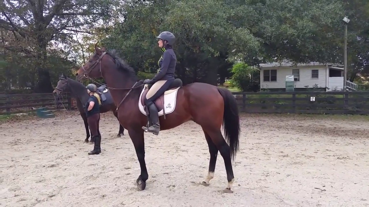 I Come From Behind and the Bands