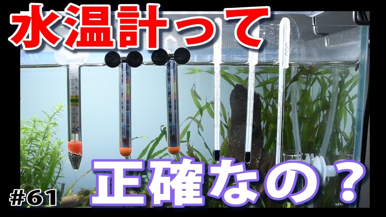 水温計精度比較 Ada エヴァリス コトブキ水温計を比べてみます 水草水槽 Planted Aquarium 61 Youtube