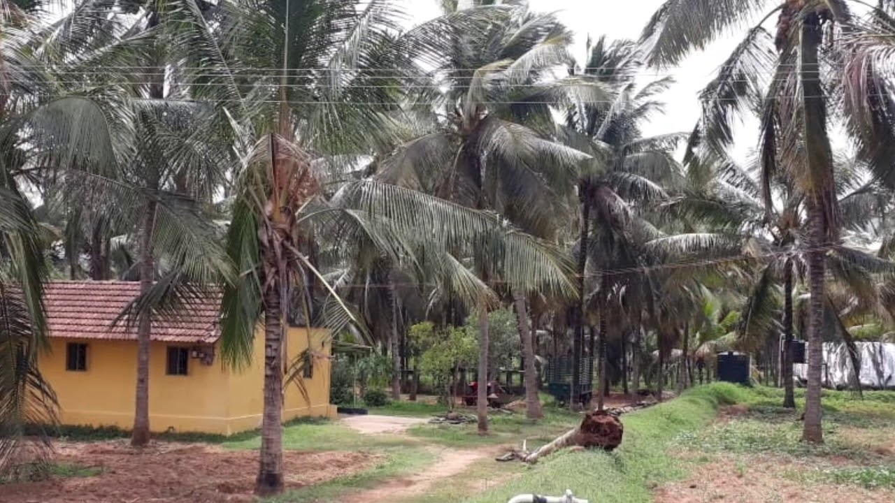 7.15 Acre agriculture land with coconut tree for sale water NaduPune