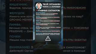 Сделай ЧЕКАП своего ОРГАНИЗМА прямо СЕЙЧАС! #здоровье #медицина #доктор
