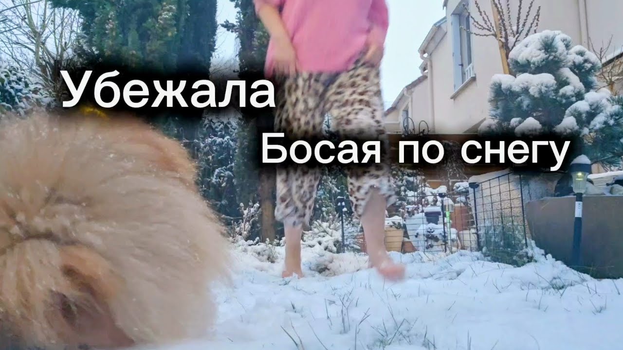 Готовлю волшебное зелье для орхидей/  Бухгалтерские будни/ 