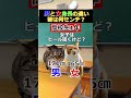【猫ミーム】男女身長の成長の違い　#猫ミーム #shorts #catmemes #猫マニ #あるある