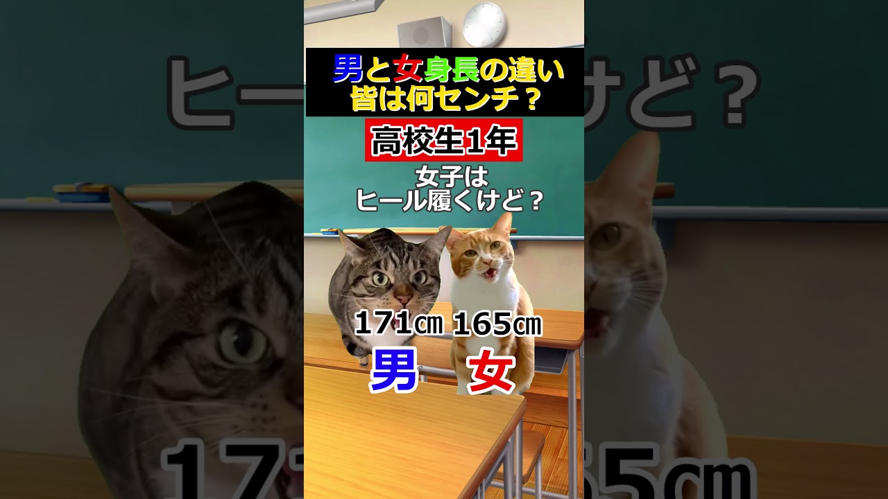 【猫ミーム】男女身長の成長の違い　#猫ミーム #shorts #catmemes #猫マニ #あるある