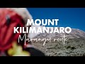 Mount Kilimanjaro 5 Day Marangu Route With Acanela Expeditions
