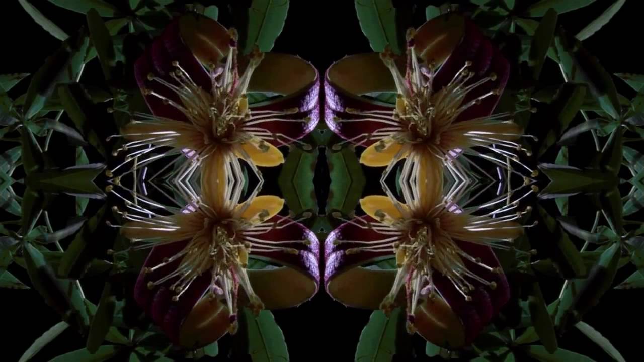 AFX - 3 Notes Con (Aphex Twin)