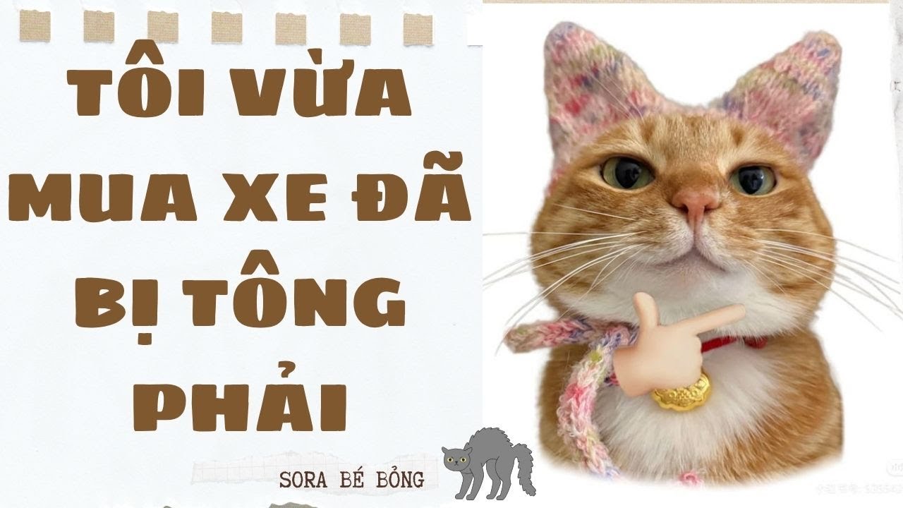 [Truyện Audio ] [FULL] TÔI VỪA MUA XE ĐÃ BỊ TÔNG PHẢI || Sora Bé Bỏng