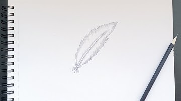 How to draw a realistic feather (step by step tutorial) for absolute beginners.