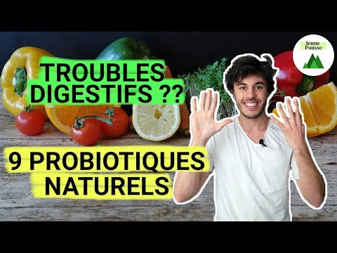 Vidéo: Le Guide No BS Sur Les Probiotiques Pour Votre Cerveau