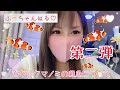 【カクレクマノミの稚魚の育て方♥第二弾】もう少し詳しい説明♪