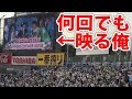 野球場のバックスクリーンに試合中何回映ることができるのか？
